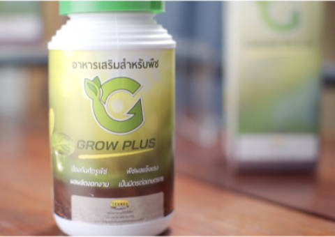 Grow Plus Gallery